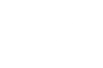 The View